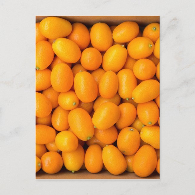 Cartão Postal Monte de kumquats laranja na caixa de papelão (Frente)
