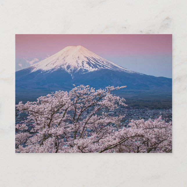 Cartão Postal Monte Fuji e Cherry Blossoms (Frente)