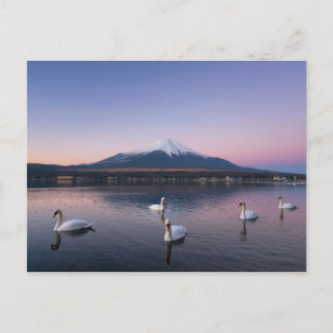 Cartão Postal Monte Fuji Lago Yamanaka com Cisnes