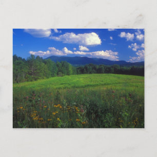 Cartão Postal Monte Greylock de Meadow Williamstown