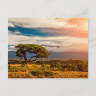 Cartão Postal Monte Kilimanjaro Amboseli, Quénia