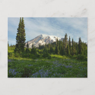 Cartão Postal Monte Rainier Morning Light