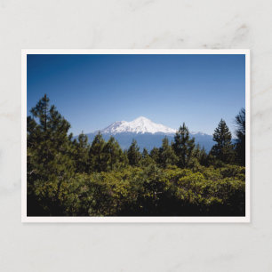 Cartão Postal Monte Rainier Washington Noroeste Pacífico