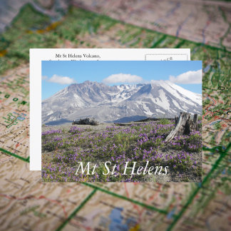 Cartão Postal Monte Rua Helens Wildflower Viagem Photo