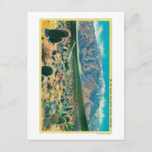 Cartão Postal Monte San Jacinto, do Jardim do Diabo