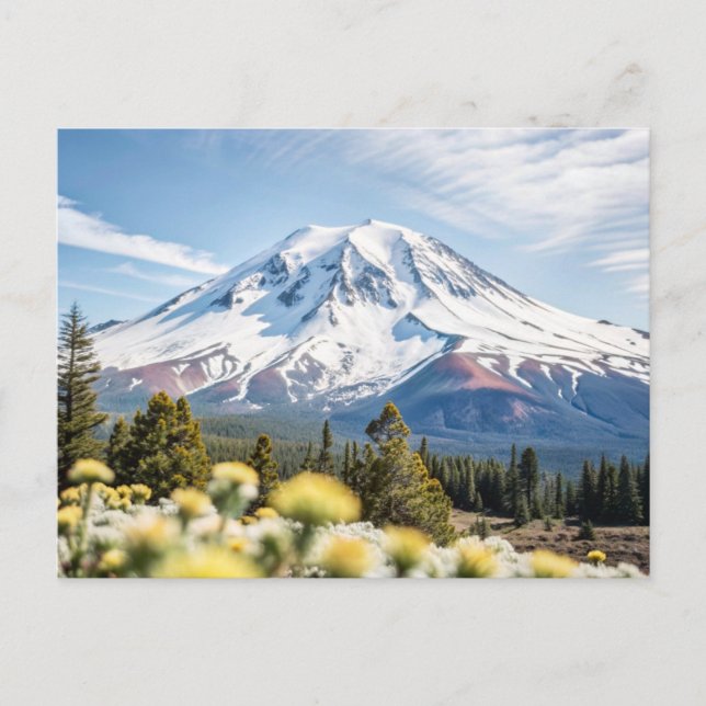 Cartão Postal Monte Shasta California Snow Top (Frente)