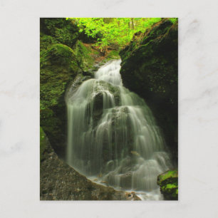 Cartão Postal Monte Toby Roaring Falls Waterfall