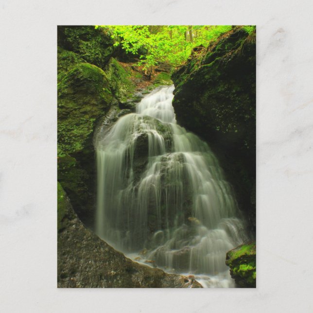Cartão Postal Monte Toby Roaring Falls Waterfall (Frente)