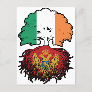 Cartão Postal Montenegro Rotas de Árvore da Irlanda Irlandesa