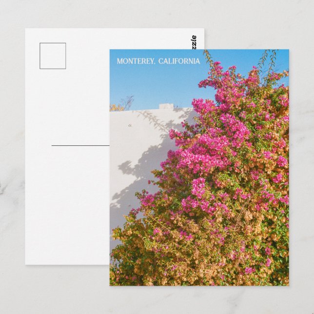 Cartão Postal Monterey Bay California | Fotografia cinematográfi (Frente/Verso)