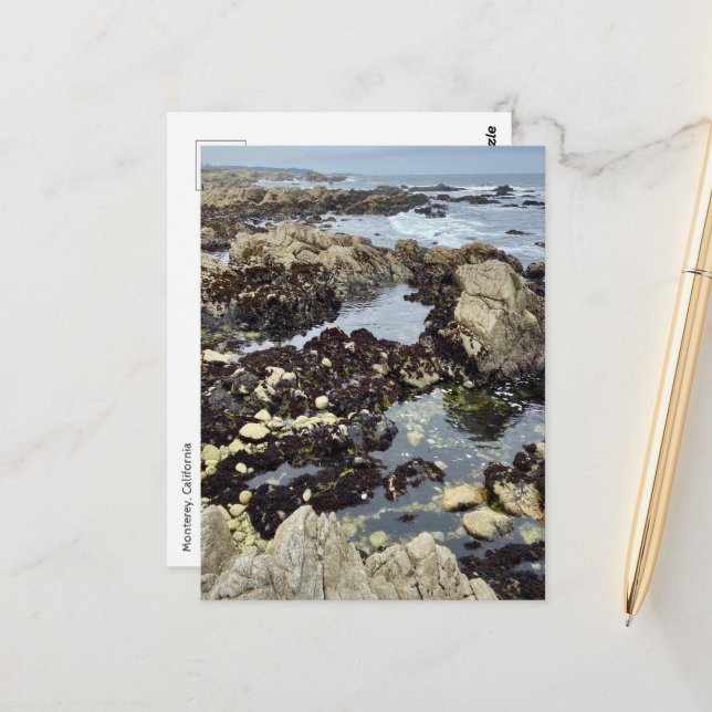 Cartão postal - Monterey, Califórnia (Frente/Verso In Situ)