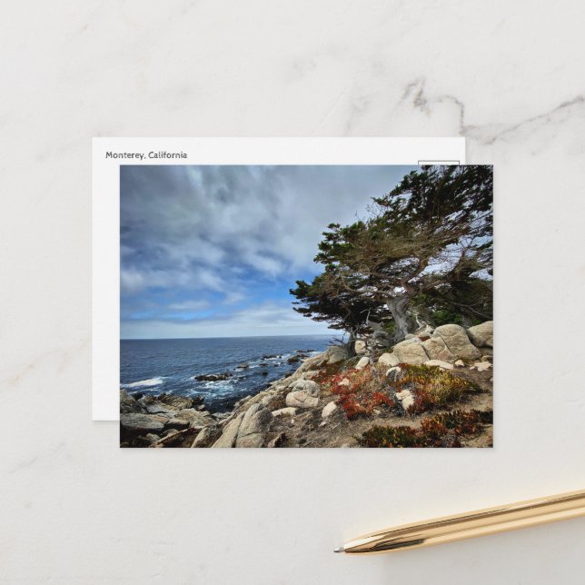 Cartão postal - Monterey, Califórnia (Frente/Verso In Situ)