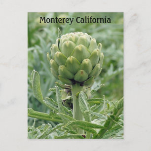 Cartão postal Monterey California Artichoke