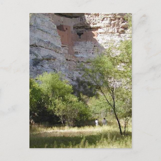 Cartão Postal Montezuma Castle Cliff Indian Grass Trees (Frente)