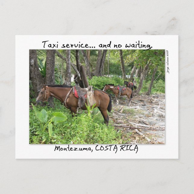 Cartão Postal Montezuma, Costa Rica (Frente)