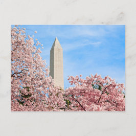 Cartão Postal Monumento a Washington