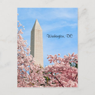 Cartão Postal Monumento a Washington