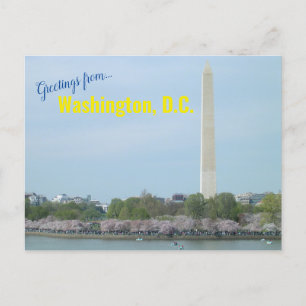 Cartão postal - Monumento a Washington e Florestas