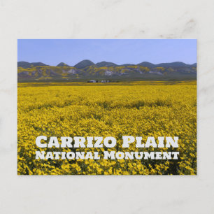 Cartão Postal Monumento Nacional Carrizo Plain