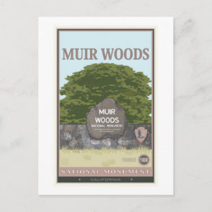 Cartão Postal Monumento Nacional de Muir Woods 2