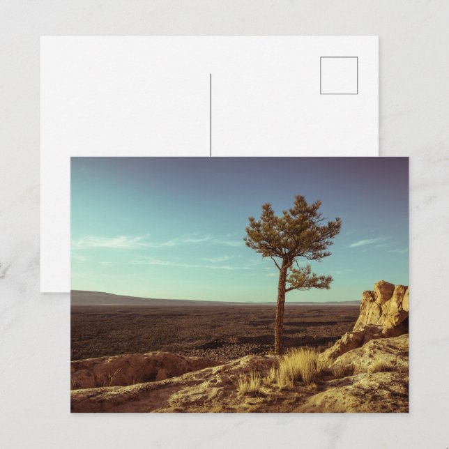 Cartão Postal Monumento Nacional El Malpais (Frente/Verso)