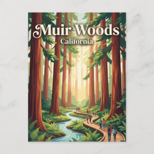 Cartão Postal Monumento Nacional Muir Woods Califórnia
