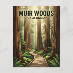 Cartão Postal Monumento Nacional Muir Woods Califórnia