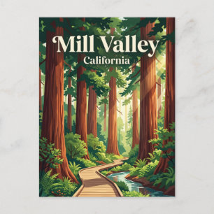 Cartão Postal Monumento Nacional Muir Woods EUA