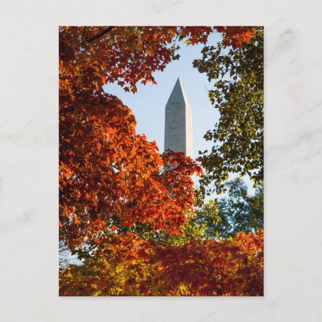 Cartão Postal Monuments | Washington Monument in Autumn (Frente)