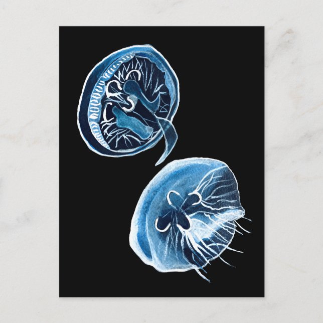 Cartão Postal MoonJellyfish — arte da aquarela (Frente)