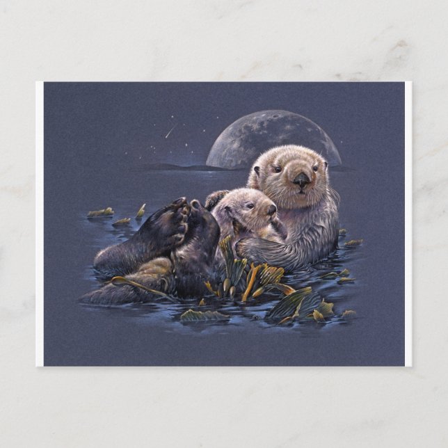 Cartão Postal Moonlight Otters (Frente)