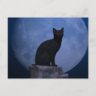 Cartão Postal Moonlit Cat