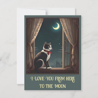 CARTÃO POSTAL "MOONLIT WHISKERS"