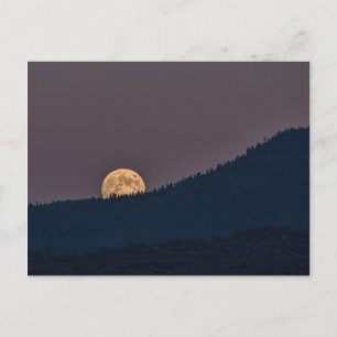 CARTÃO POSTAL MOONRISE