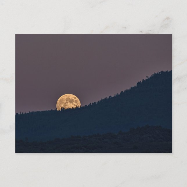 CARTÃO POSTAL MOONRISE (Frente)