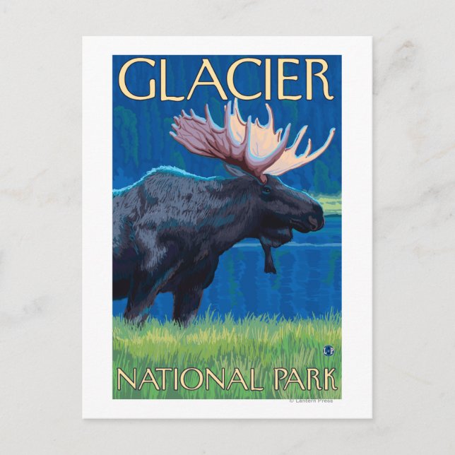 Cartão Postal Moose à noite - Parque Nacional Glacier, MT (Frente)