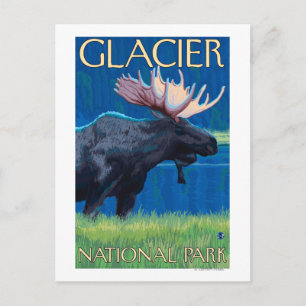 Cartão Postal Moose à noite - Parque Nacional Glacier, MT