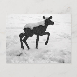 Cartão Postal Moose Bebê Coberto De Neve