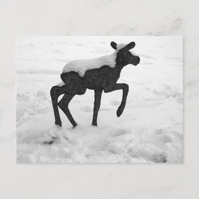 Cartão Postal Moose Bebê Coberto De Neve (Frente)