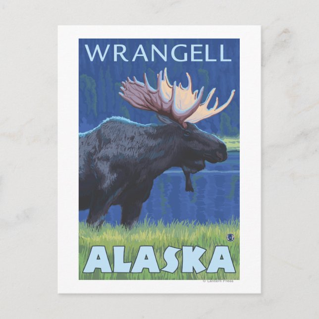 Cartão Postal Moose da Noite - Wrangell, Alaska (Frente)