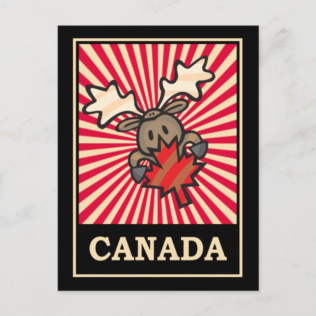 Cartão Postal Moose do Canadá (Frente)