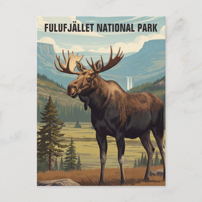 Cartão Postal Moose em Fulufjället National Park Suecia (Frente)