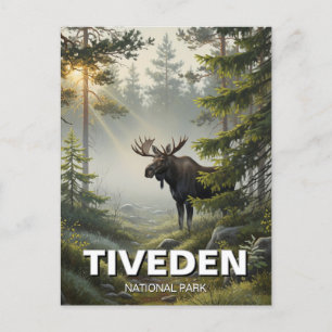 Cartão Postal Moose na Suecia do Parque Nacional de Tiveden