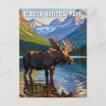 Moose na Viagem do Parque Nacional Glacier