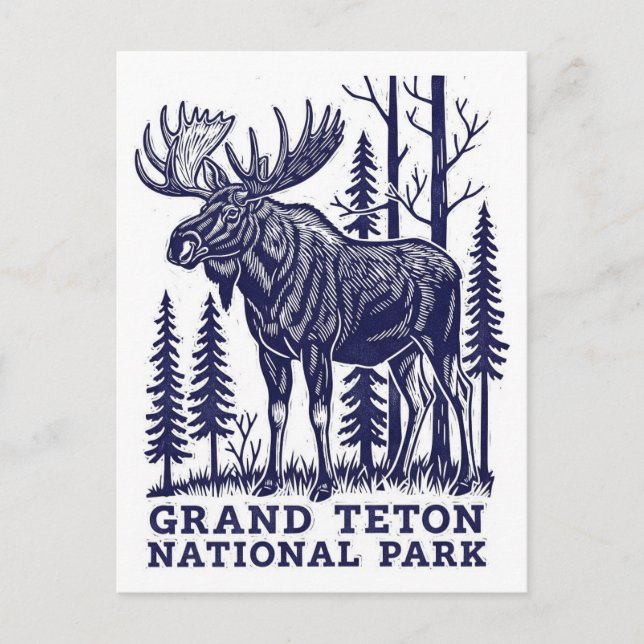 Cartão Postal Moose no Parque Nacional de Grand Teton (Frente)