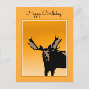Cartão Postal Moose no Sunset - Arte original sobre a vida selva