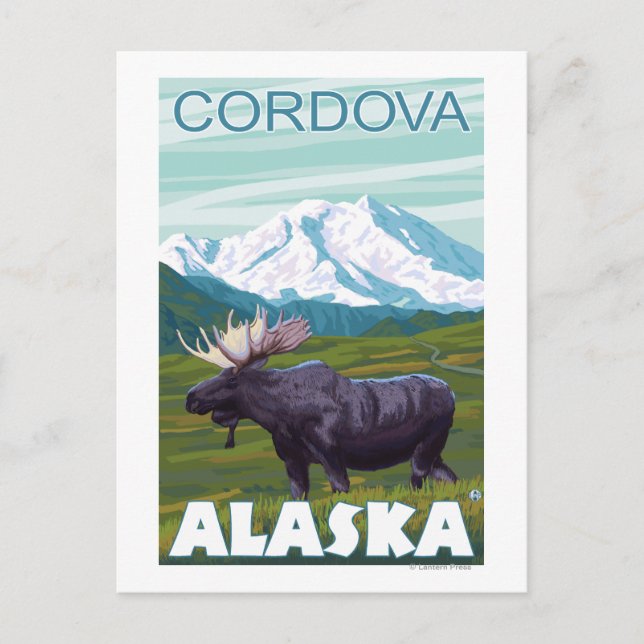 Cartão Postal Moose Scene - Córdova, Alasca (Frente)