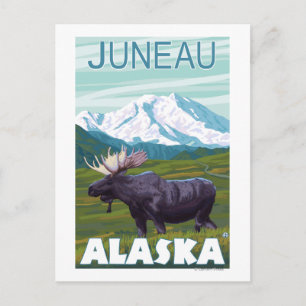 Cartão Postal Moose Scene - Juneau, Alasca