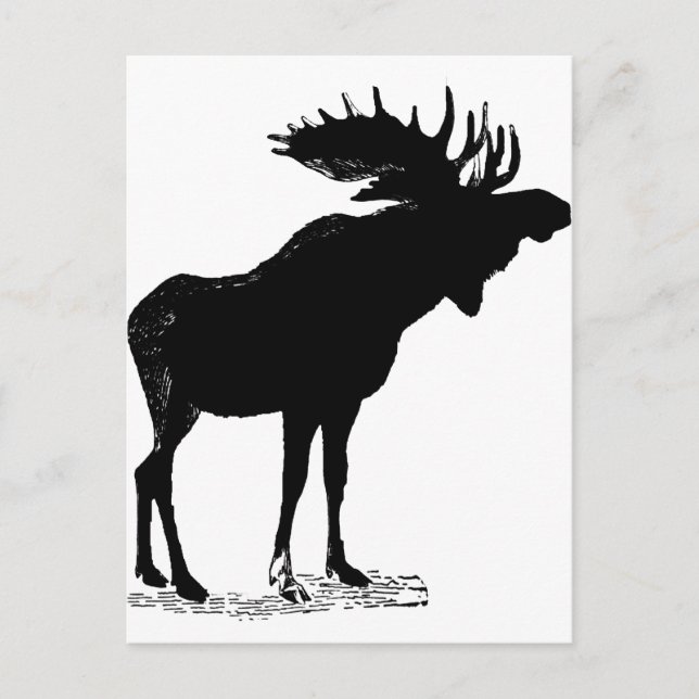 Cartão Postal Moose Silhouette (Frente)