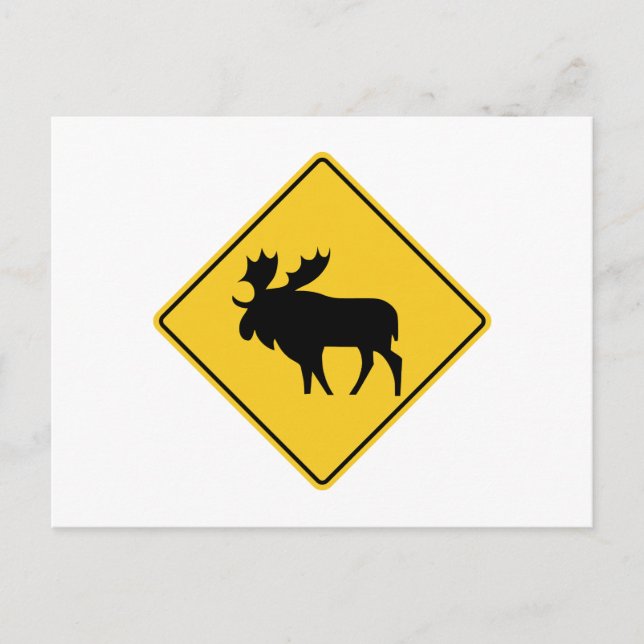 Cartão Postal Moose Warning, Road Sign, Canadá (Frente)